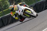 brands-hatch-photographs;brands-no-limits-trackday;cadwell-trackday-photographs;enduro-digital-images;event-digital-images;eventdigitalimages;no-limits-trackdays;peter-wileman-photography;racing-digital-images;trackday-digital-images;trackday-photos